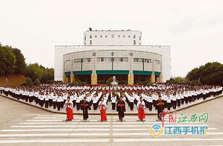 缅 怀