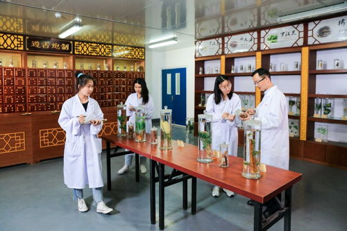 江苏食品药品职业技术学院 积厚成势 让思想政治工作 活 起来